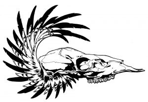 FD Skull